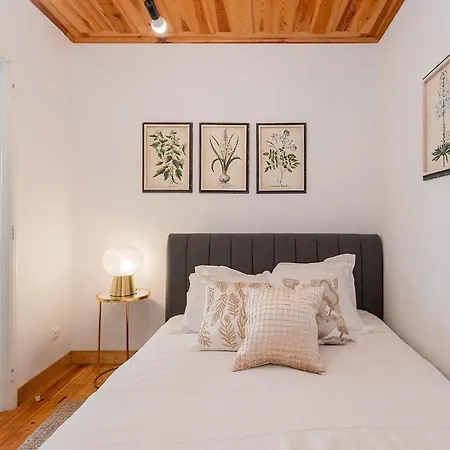 River View 1bdr In Alfama Close To Tram Apartment